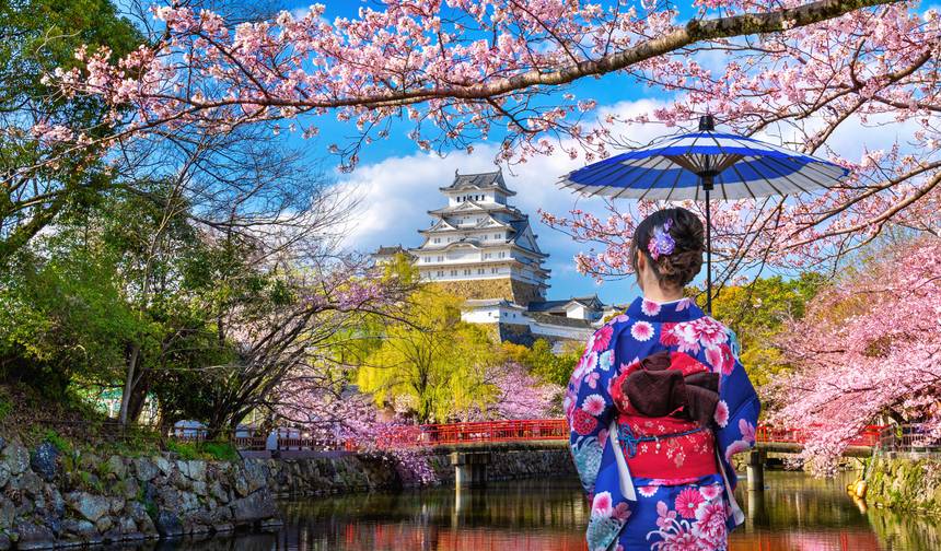 日本と香港：カンフーとカワイイ文化の出会い — 1
