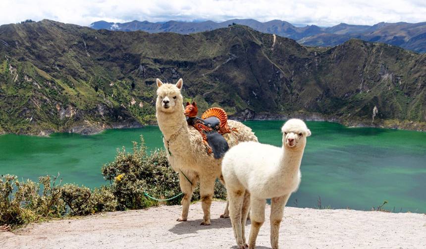 8 Dias no Coração do Equador: Das Montanhas às Fontes Termais — 1