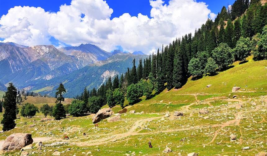 Wycieczka z przewodnikiem po Kaszmirze i Ladakhu — 1