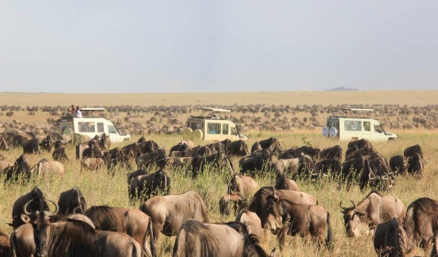 Safari Privado Econômico de 7 Dias da Migração no Norte do Serengeti partindo de Dar-Es-Salaam na Tanzânia — 1