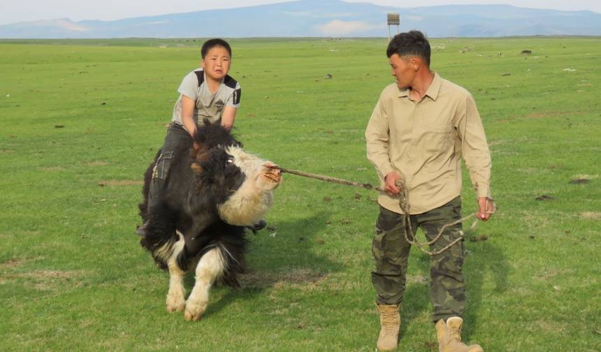 Nomadic Mongolian Experience — 1