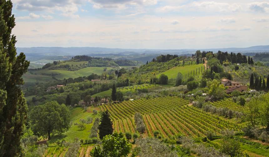Geluxe: Italy: Tuscany and Umbria Vineyard Walks — 1