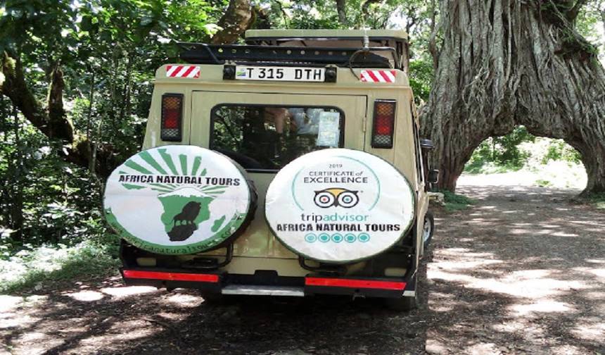 Odkryj światowej klasy 6-dniowe rodzinne safari w Tanzanii – Serengeti, Ngorongoro i Tarangire z najbardziej obniżonymi cenami na lata 2025 i 2026 — 1