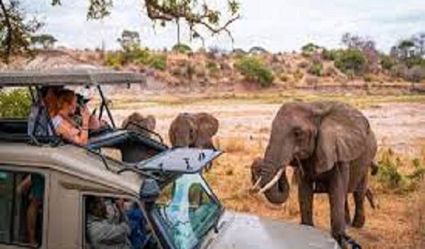 The Top Best 14 Days Africa Safari in Kenya & Tanzania 2025–2026: All-Inclusive  African Safari Package of Wildlife, Culture & Adventure — 1
