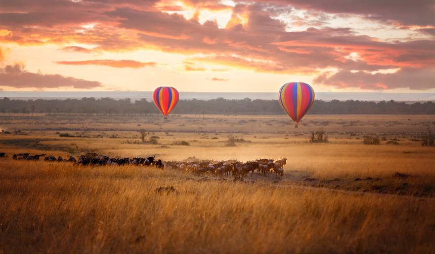 Geluxe: Zimbábue e Botsuana: Chobe, Hwange e Lago Kariba — 1