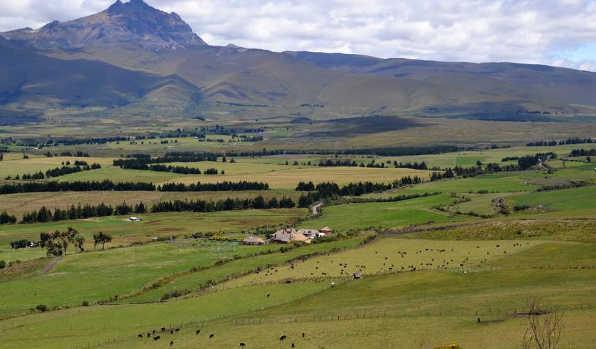9-Day Ecuador Hacienda Hopping — 1