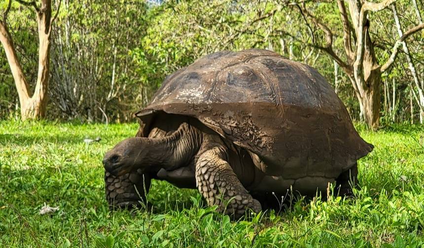 5-day Galapagos Fascinating Tour (Private Tour) — 1
