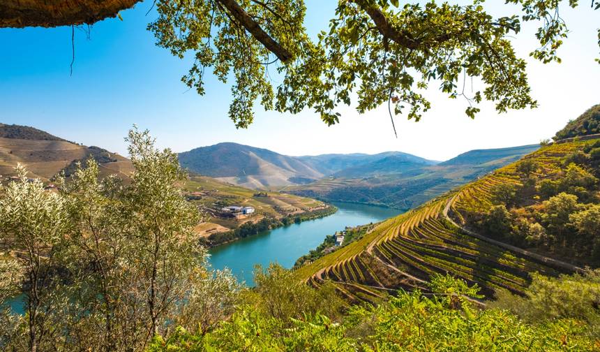 Douro Wine Region self-guided hike tour — 1