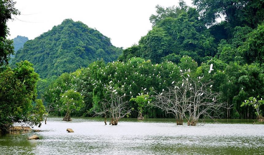 ハノイ - Ninh Binh 2日間1泊 ( Hoa Lu, Tam Coc, Bich Dong, Thung Nham Bird Valley) — 1