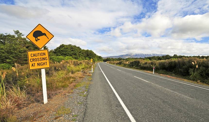 New Zealand Expedition - 23 days — 1