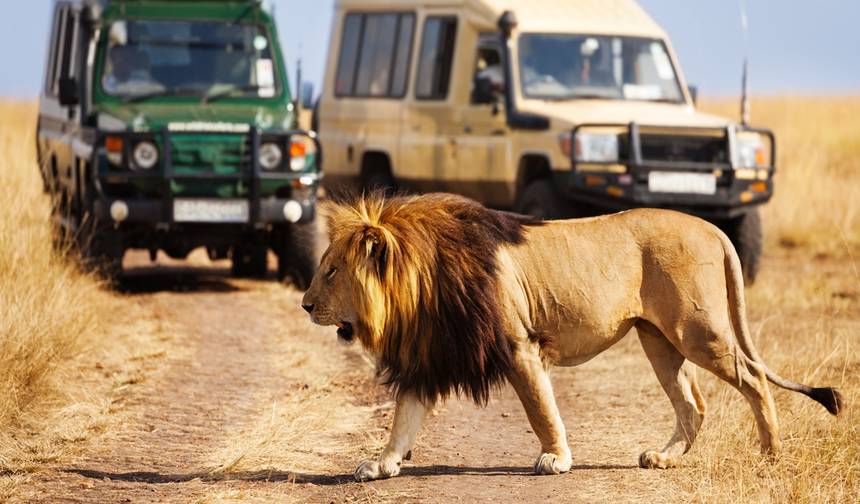 Aventura de Safari de 10 Dias no Quênia e Férias Relaxantes na Praia de Mombasa — 1