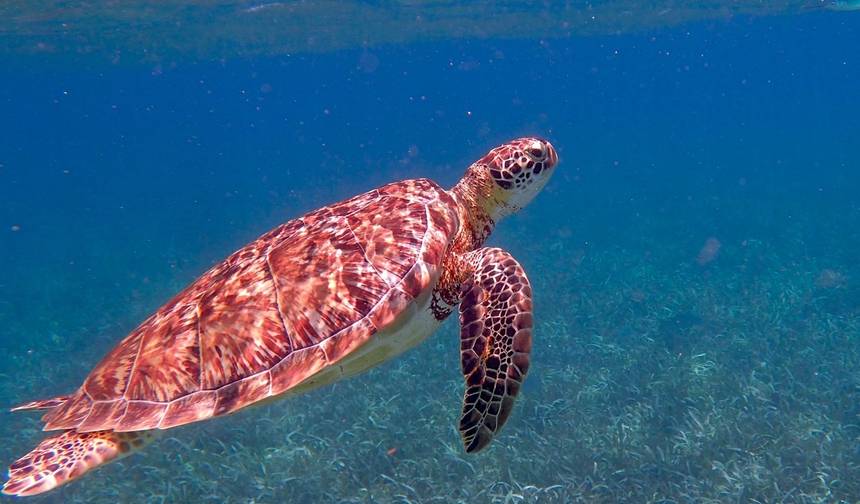Belize Highlights Adventure  10 Days /9Nights — 1
