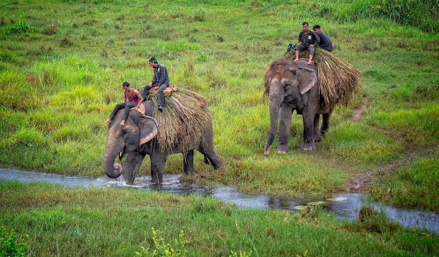 India Nepal Adventure: 2 Countries in 14 Days — 1
