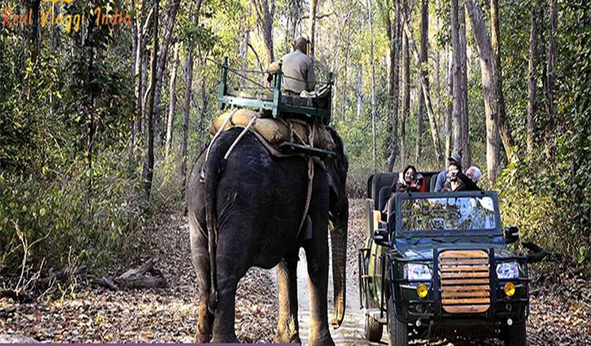 India Wildlife Adventure Tours — 1