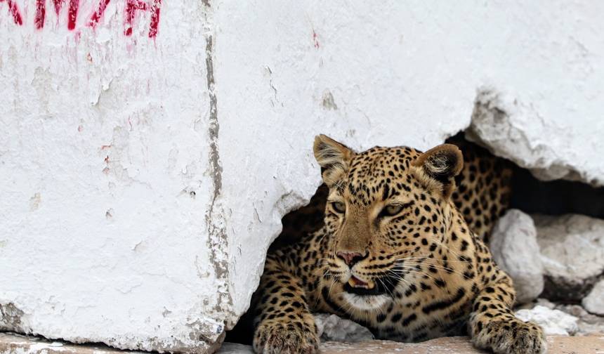 7 Day Namibian Highlights Lodge Safari * DEPARTING MONDAY — 1