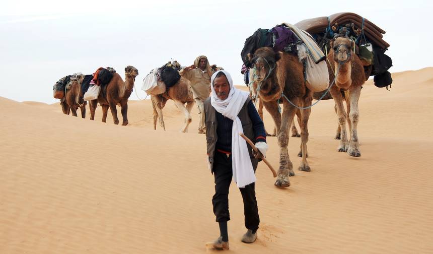 تونس في 6 أيام – تونس الحمامات القيروان والمزيد — 1