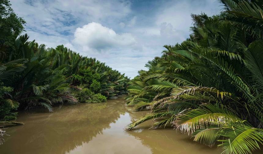 Sarawak Secrets with Santubong Mangrove Cruise — 1