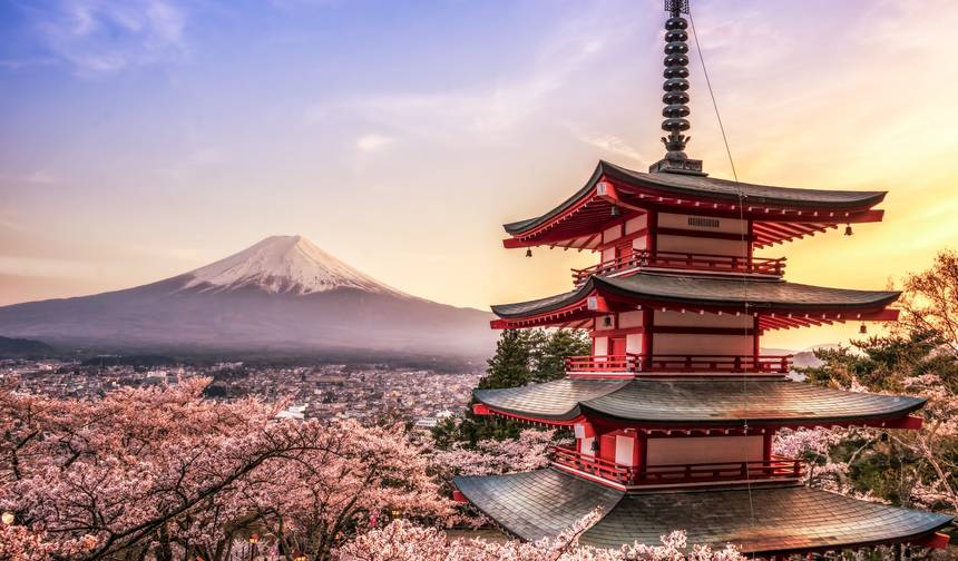 7-dniowa spersonalizowana klasyczna wycieczka po Tokio i Kansai (prywatny przewodnik i kierowca) – Wycieczka rodzinna — 1