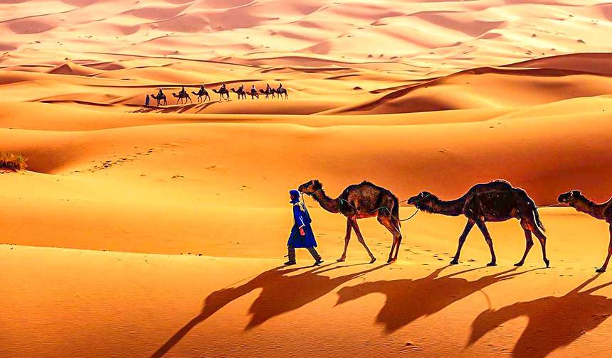 Tailor-Made 11 Days Algeria Desert Trip, Daily Start & Private Guide — 1