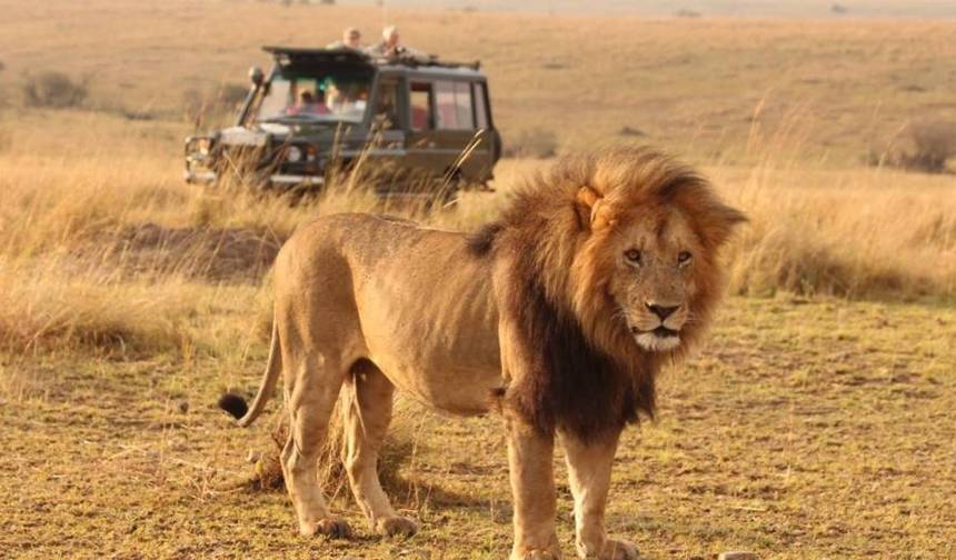 Tanzania 5  Days - Unique Wildlife Experiences — 1