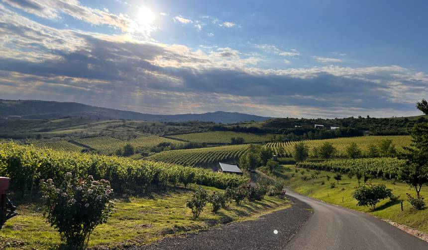 Dealu Mare Bike&Wine Escape Days — 1