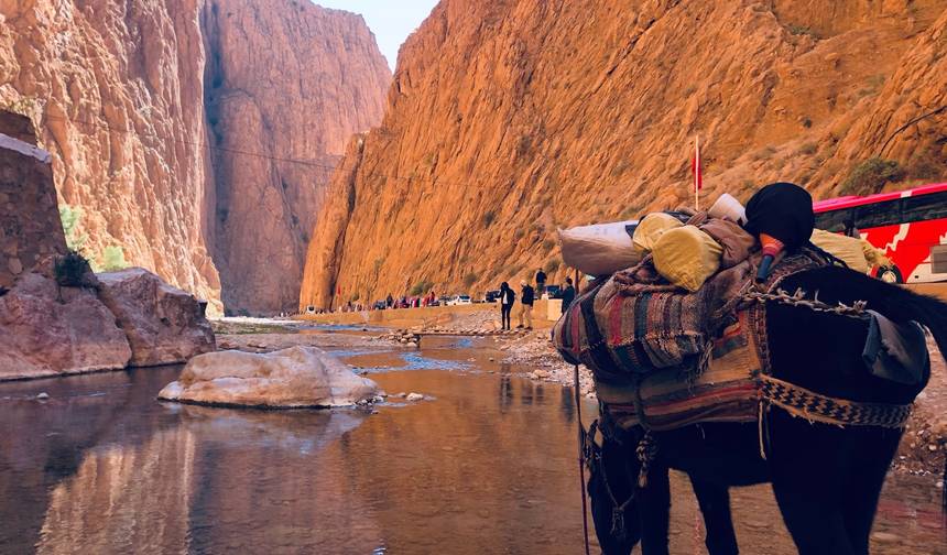 Excursão de 6 Dias ao Deserto do Saara de Fez para Marraquexe, Marrocos — 1