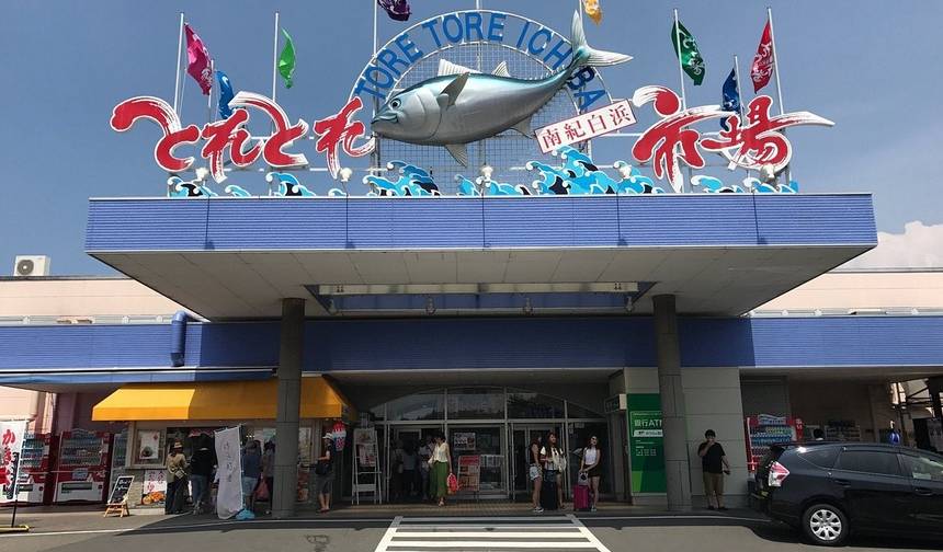 日本での20日間のラブストーリー（プライベートガイド＆ドライバー付き） — 1