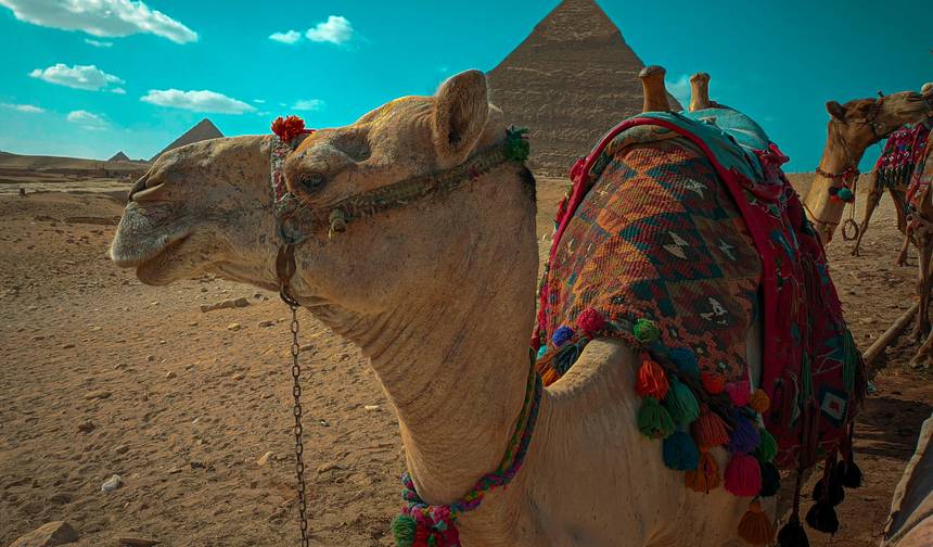 SAQQARA • DAHSHUR • GIZA PYRAMIDS — From First Experiments to Eternal Mastery — 1