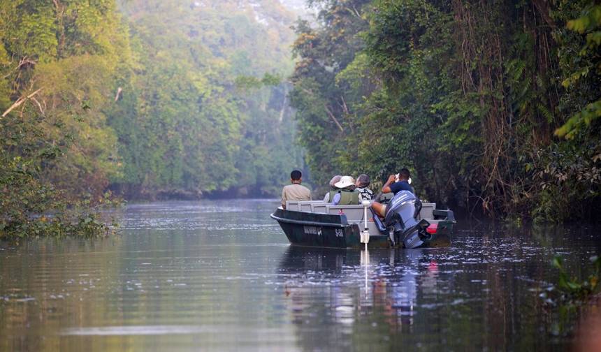 Borneo bokeh: Em um safári fotográfico nas florestas de Sarawak e Sabah — 1