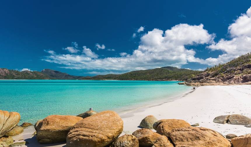 Whitsundays, Reef & Rainforest - 9 أيام — 1
