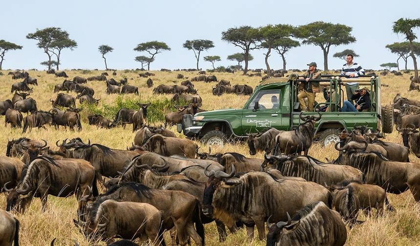 Masai Mara: Wielka Migracja Gnu 4-dniowe safari – Zakwaterowanie średniej klasy — 1