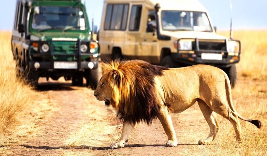 Aventura de Safari Queniano de 10 Dias e Refúgio Tranquilo na Praia de Mombasa — 1
