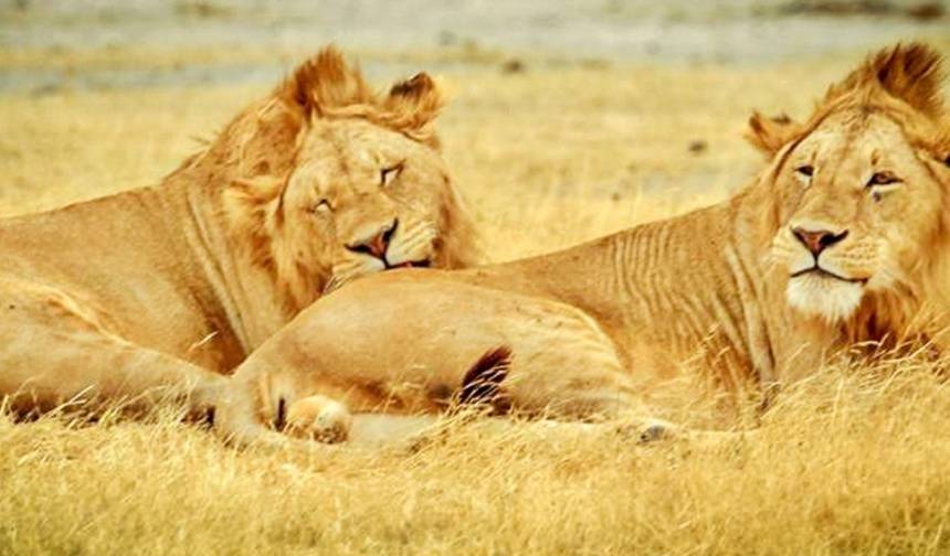 Exotic East African Adventure 7 Days/6 Nights — 1