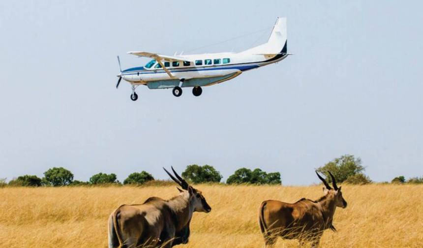 Niedrogie 4-dniowe luksusowe safari lotnicze do Masai Mara (z lotniska w Nairobi) — 1