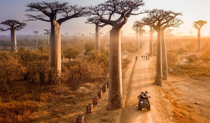 Tsingy of Bemaraha -Kirindy & Baobab Safari: أفضل اكتشاف — 1