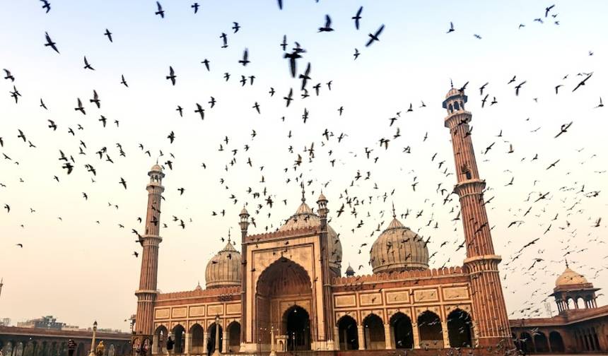 Indian Heritage, World Wonder & Backwaters of Kerala W/ Sights, Meals and Transfers — 1