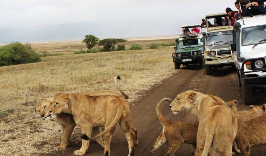 Safári no Parque Nacional de Nairobi — 1
