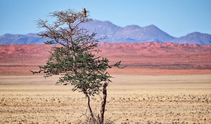 7 Days Highlights of Namibia | Auto Tour Camping — 1