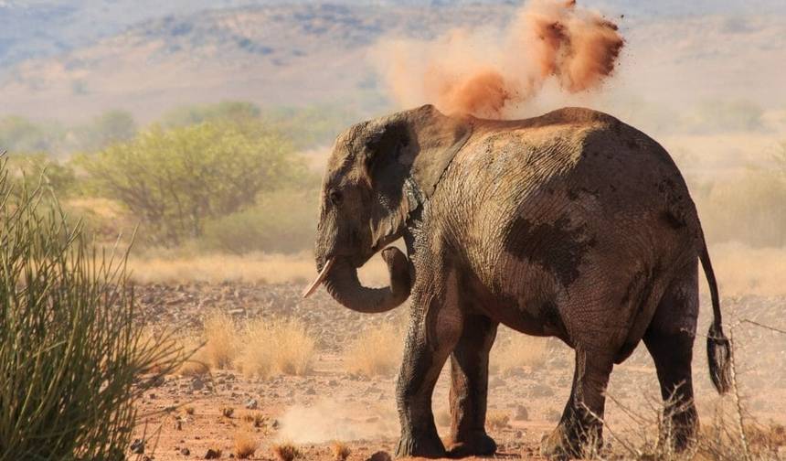 10 Days Beauty of Namibia | Auto Tour Camping — 1