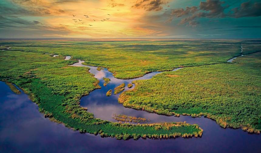 Florida Sunshine State — 1