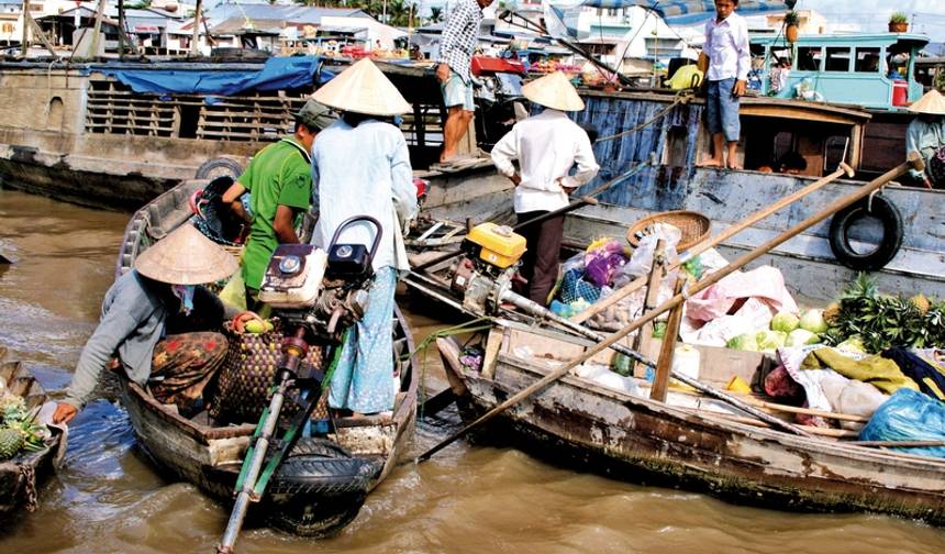 Mekong Delta — 1