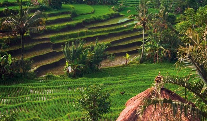 Treasures of Indonesia (private tour) — 1