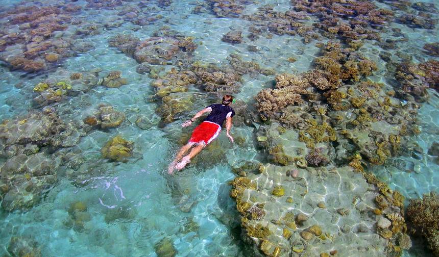 South Pacific Wonders including New Zealand's North Island (Cairns to Queenstown) (2026) — 1