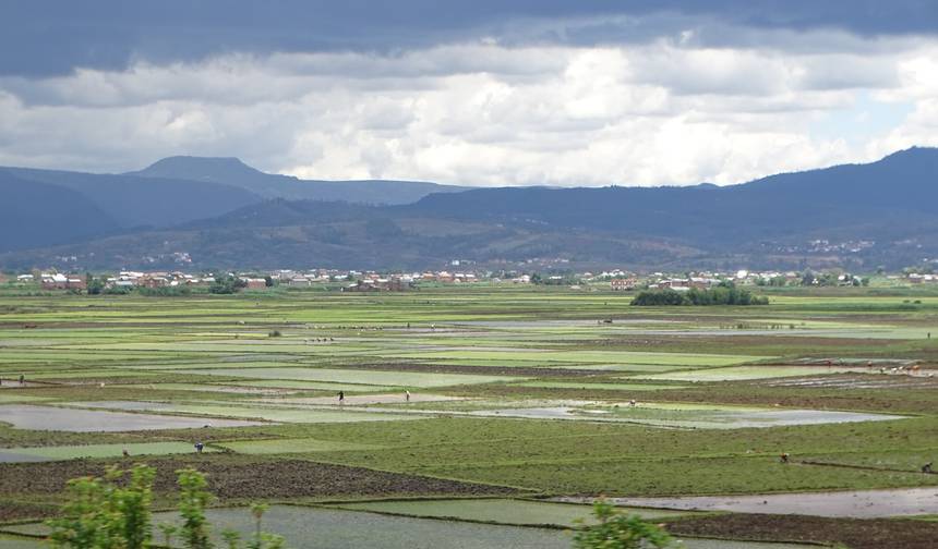 Andasibe With The South To Experience Madagascar From Every Angle — 1