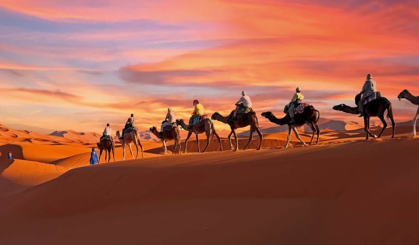 12-Day Journey: Tangier to the Desert Dunes via the Blue City/Imperial Fes — 1