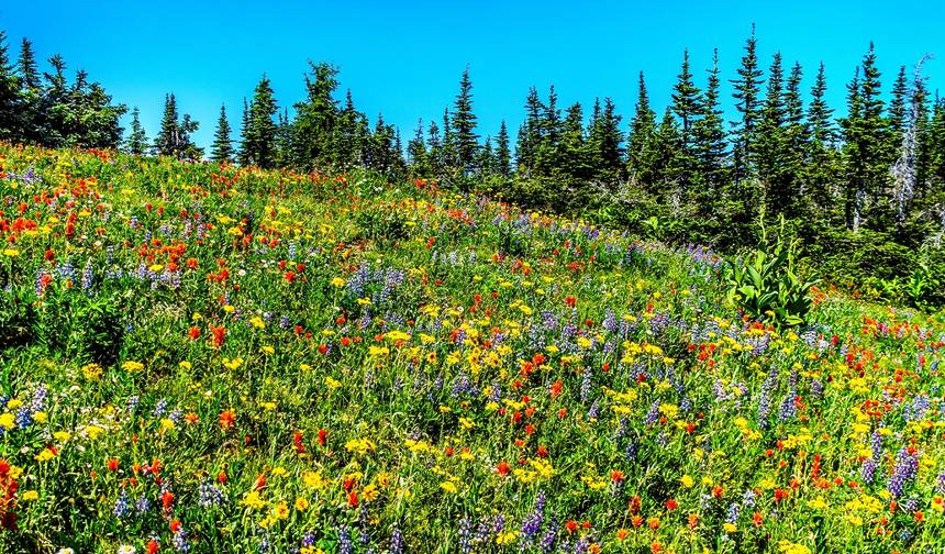 Best of West Canada - 8 days — 1