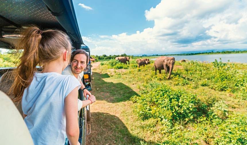 Wildlife Safari — 1