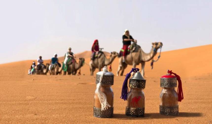 رحلة المغرب الملحمية: 7 أيام من طنجة (خاصة) — 1