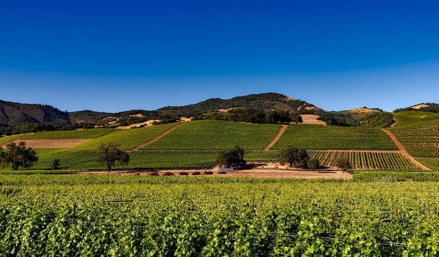 カリフォルニアの最高峰（クラシック、9日間） — 1
