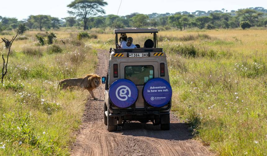 Safári Terrestre e Acampamento Participativo de Nairobi a Kampala — 1